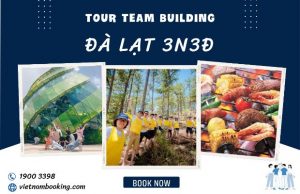 Tour Team Building Đà Lạt 3N3Đ: Trải Nghiệm Gắn Kết Đồng Đội Độc Đáo
