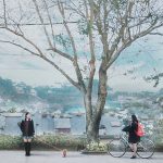 Hoa ban nở vào mùa nào? Tháng nào? Đẹp đến xiêu lòng mùa hoa ban đỏ, trắng