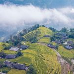Kinh nghiệm du lịch Hoàng Su Phì ngắm tuyệt tác ruộng bậc thang