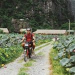 Kinh nghiệm du lịch Ninh Bình tự túc 2024 chi tiết từ A-Z