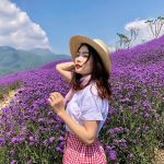 Nên đi du lịch Sapa mùa nào? Vào tháng mấy đẹp nhất?
