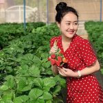 Tour Đà Lạt 2 ngày 2 đêm khám phá xứ mộng mơ