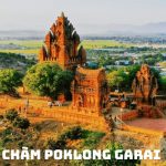 Tour Ninh Chữ Vĩnh Hy 2N2Đ: Khám Phá Thiên Đường Biển Đảo Hoang Sơ, Hải Sản Tươi Ngon