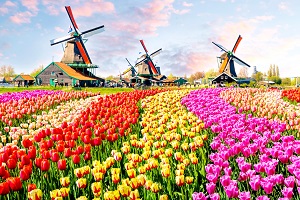 Dịch Vụ Làm Visa Hà Lan Trọn Gói [2024]