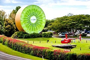 Dịch Vụ Làm Visa New Zealand Giá rẻ [2024]