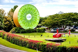 Dịch Vụ Làm Visa New Zealand Giá rẻ [2024]