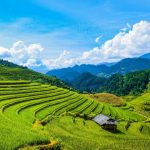 Đến La Pán Tẩn Mù Cang Chải tìm đồi mâm xôi ở đâu?
