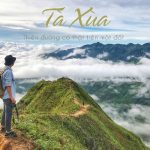 Tất tần tật kinh nghiệm đi Tà Xùa Săn Mây mới nhất