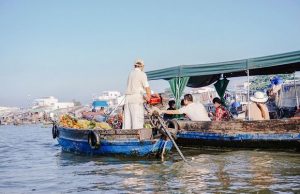 Tour Miền Tây Châu Đốc – Rừng Tràm Trà Sư 2N2Đ: Khám Phá Thiên Nhiên Miền Tây