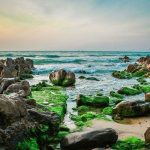 Tour Cổ Thạch Ninh Chữ Phan Thiết 4N3Đ: Đi qua nắng gió 2 tỉnh miền Trung