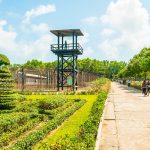 Tour du lịch 2N1Đ Côn Đảo thiêng liêng bằng máy bay