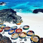 Tour Lý Sơn từ TP HCM: Khám phá Vương quốc của Tỏi và Biển xanh | Đi Máy Bay (3N2Đ)