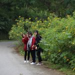 Du lịch Ba Vì 1 ngày nên đi đâu thăm thú lá phổi xanh thủ đô