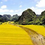 Dắt tay nhau đi du lịch Ninh Bình mùa lúa chín đẹp mê mẩn