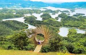 Tour Tà Đùng 2 ngày 2 đêm | Khám phá Vịnh Hạ Long Tây Nguyên và thủ phủ chè Bảo Lộc