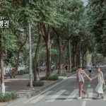 Kinh nghiệm du lịch Hà Nội tháng 11: Hàn huyên cùng mùa cúc họa mi giữa lòng Thủ đô