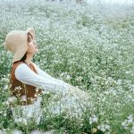 Bật mí những cánh đồng hoa tam giác mạch đẹp nhất Việt Nam