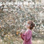 Tour Tây Bắc 5 ngày 4 đêm mùa hè | Hà Nội – Mai Châu – Mộc Châu – Điện Biên – Sapa