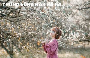 Tour Tây Bắc 5 ngày 4 đêm mùa hè | Hà Nội – Mai Châu – Mộc Châu – Điện Biên – Sapa