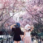 Tết nên đi du lịch ở đâu trong nước? Top điểm đến trong nước lý tưởng nhất cho Tết 2021
