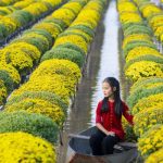 Tour Đồng Tháp 1 Ngày: Khám phá Làng hoa Sa Đéc – Vườn quýt hồng Lai Vung – Kiến An Cung