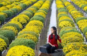 Tour Đồng Tháp 1 Ngày: Khám phá Làng hoa Sa Đéc – Vườn quýt hồng Lai Vung – Kiến An Cung