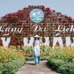 Tour Hải Phòng Miền Tây 4N3Đ | Cần Thơ – Sóc Trăng – Bạc Liêu – Cà Mau