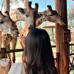 Tour Hải Phòng – Phú Quốc 4 Ngày 3 Đêm Trọn Gói Khám Phá Đảo Ngọc