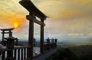 Tour Đà Lạt Linh Quy Pháp Ấn 1 Ngày | Check in bối cảnh MV Lạc Trôi của Sơn Tùng