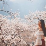 Chùm tour mùng 5 Tết – Du xuân thả ga, không lo về giá!