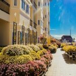 “Lưu gấp” giá khách sạn Đà Lạt dịp tết – Vi vu “phố núi” đón mừng tết vui