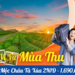 Tour du lịch Mộc Châu Tà Xùa 2 ngày 1 đêm: Khám Phá Cao Nguyên và Săn Mây