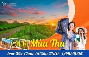 Tour du lịch Mộc Châu Tà Xùa 2 ngày 1 đêm: Khám Phá Cao Nguyên và Săn Mây