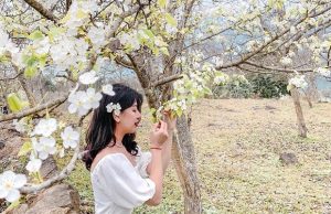 Tour Na Hang Tuyên Quang 2 ngày 1 đêm | Thăm Hồng Thái mùa hoa lê