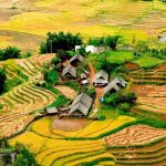 Tour Sapa Tả Phìn 2N1Đ | Tắm lá thuốc – trải nghiệm tinh hoa văn hóa dân tộc Dao