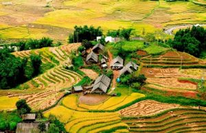 Tour Sapa Tả Phìn 2N1Đ | Tắm lá thuốc – trải nghiệm tinh hoa văn hóa dân tộc Dao