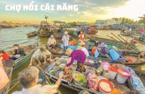 Tour Cần Thơ 2 ngày 1 đêm: Mỹ Tho – Bến Tre – Cần Thơ