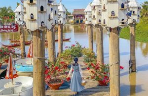 Tour Cần Thơ An Giang Đồng Tháp: Rừng Tràm Trà Sư – Làng Hoa Sa Đéc