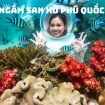 Tour Phú Quốc Câu Cá Lặn Ngắm San Hô 1 Ngày – Bãi Sao, Nhà Tù Phú Quốc