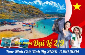 Tour Ninh Chữ Vĩnh Hy 3N2Đ: Khám Phá Thiên Đường Biển Đảo Hoang Sơ Đẹp Mê Hồn
