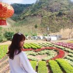 Cập nhật kinh nghiệm du lịch Mộc Châu 30/4 mới nhất năm 2024