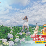 Tour Đà Lạt 30/4 4N3Đ | Kombi Land – Đà Lạt View Coffee – Fairy Tale Land – Langbiang