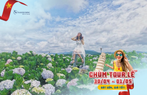 Tour Đà Lạt 30/4 4N3Đ | Kombi Land – Đà Lạt View Coffee – Fairy Tale Land – Langbiang