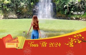 Tour du lịch Đà Nẵng – Pleiku – Kon Tum – Măng Đen 3N2Đ | Tây nguyên mùa hoa dại