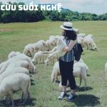 Tour Hồ Tràm 3 ngày 2 đêm nghỉ dưỡng resort 4 sao Vietsovpetro