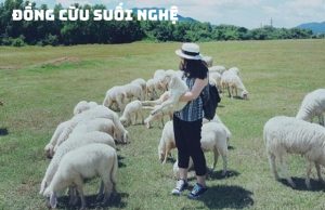 Tour Hồ Tràm 3 ngày 2 đêm nghỉ dưỡng resort 4 sao Vietsovpetro
