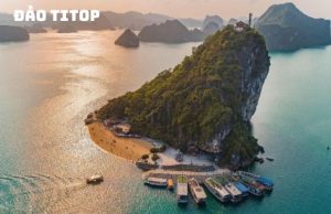 Tour Hà Nội Hạ Long Tuần Châu 2 Ngày 1 Đêm: Trải Nghiệm Hành Trình Thú Vị