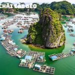 Tour Cát Bà Vịnh Lan Hạ 3 Ngày 2 Đêm – Khám Phá Vẻ Đẹp Tiềm Ẩn của Viên Ngọc Xanh Miền Bắc