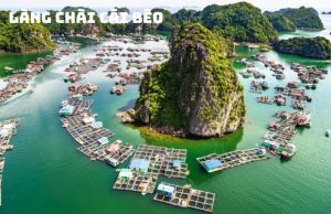Tour Cát Bà Vịnh Lan Hạ 3 Ngày 2 Đêm – Khám Phá Vẻ Đẹp Tiềm Ẩn của Viên Ngọc Xanh Miền Bắc