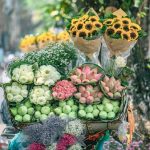 Khám phá bản đồ tour miền Bắc 2024 về miền ký ức lịch sử thăng trầm